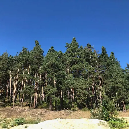 Borov Park 3