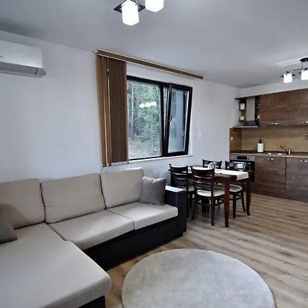Borov Park 3 Апартаменты Велинград