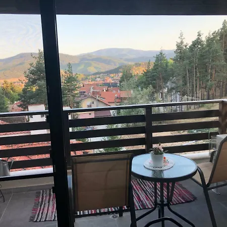 Borov Park 3 * Welingrad
