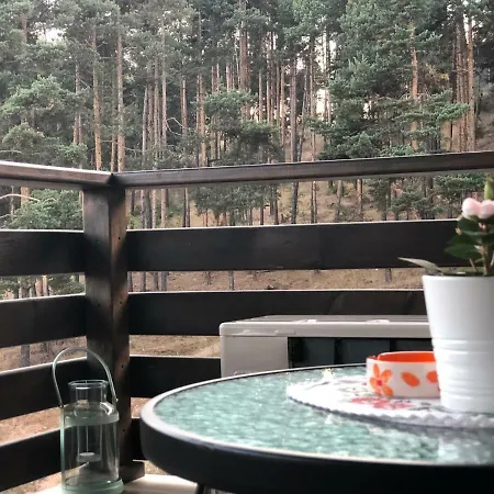 Апартаменты Borov Park 3