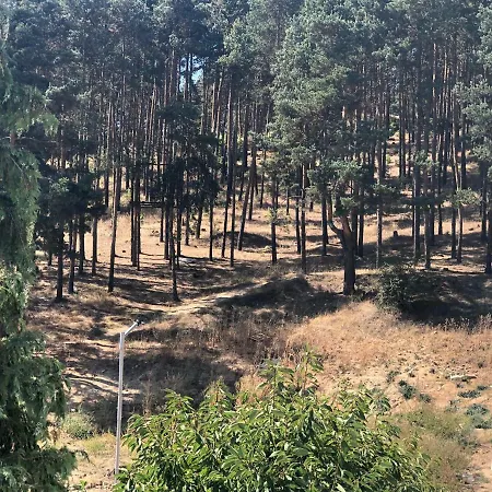 Апартаменты Borov Park 3 *