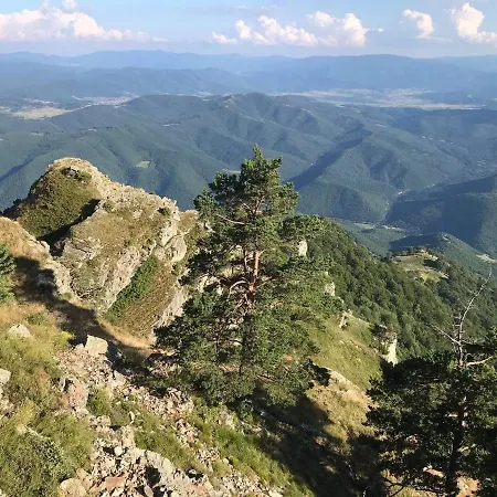 Borov Park 3 ヴェリングラード