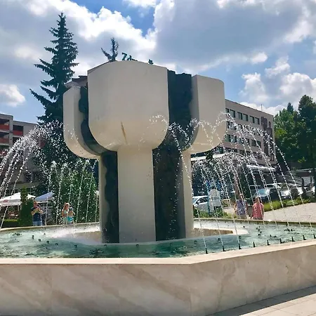 Borov Park 3