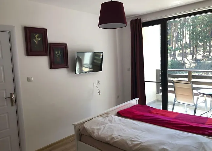 Borov Park 3 Lejlighed