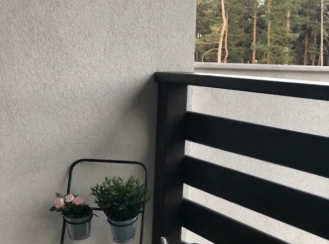 Borov Park 3 Lejlighed