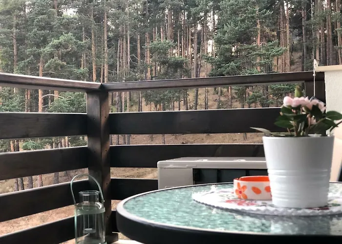 Lejlighed Borov Park 3