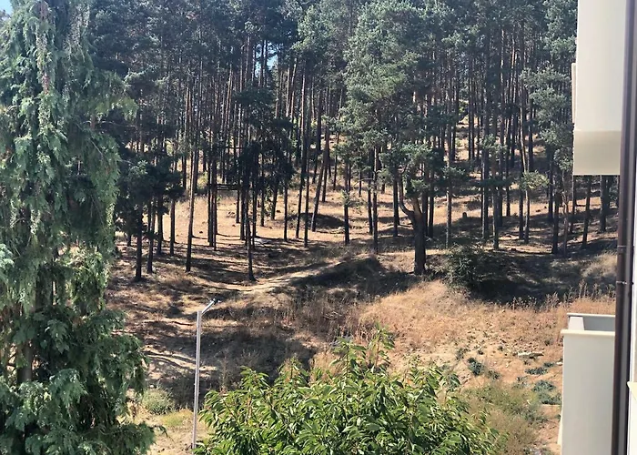 Lejlighed Borov Park 3 *