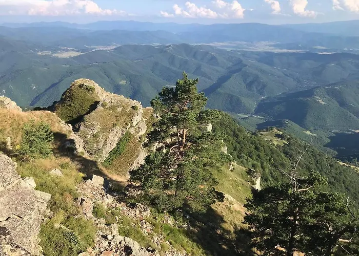 Borov Park 3 Velingrad